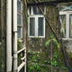 Illustration for article titled These post-apocalypse images of Hong Kong are actually real photos